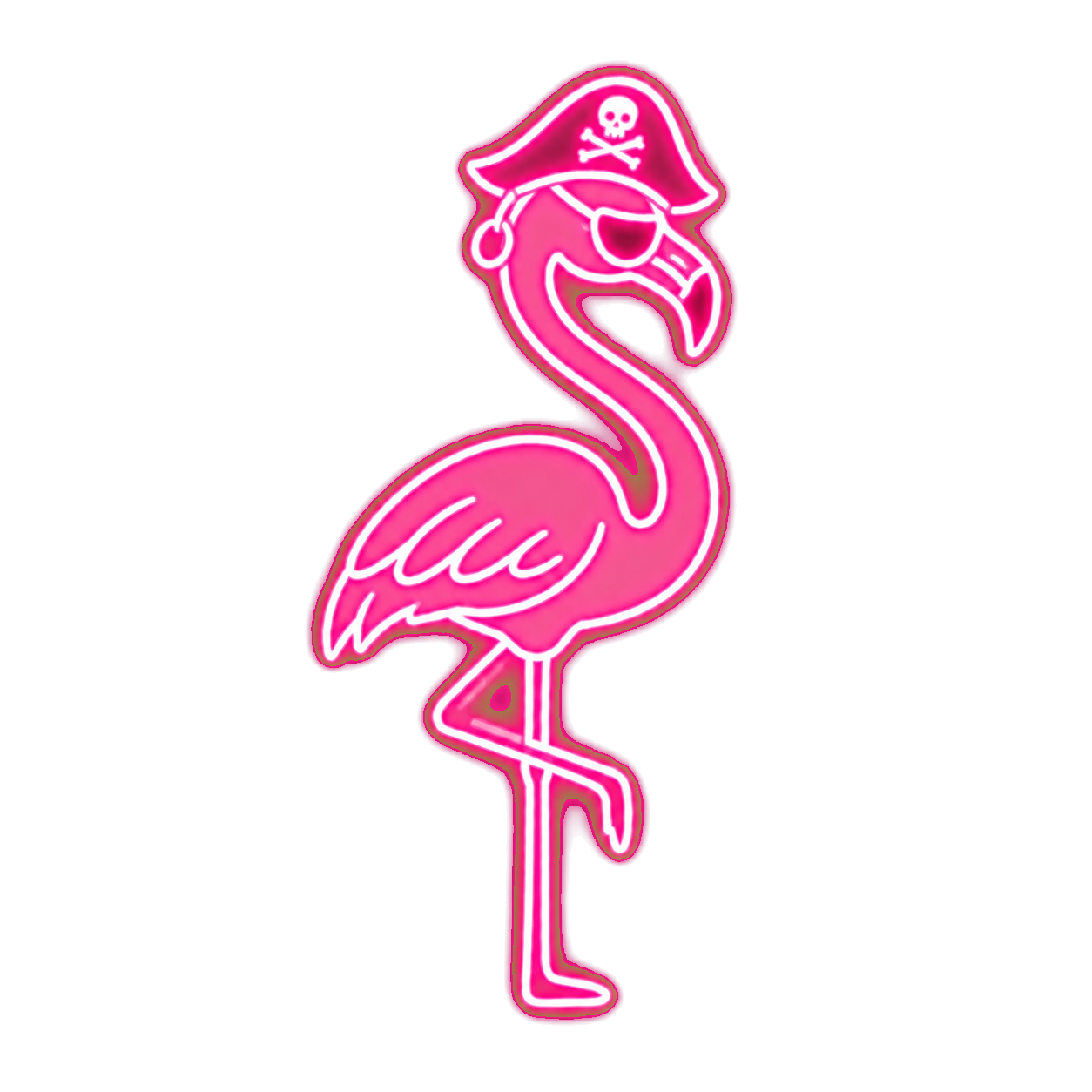 Pirate flamingo